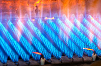 Bellanoch gas fired boilers